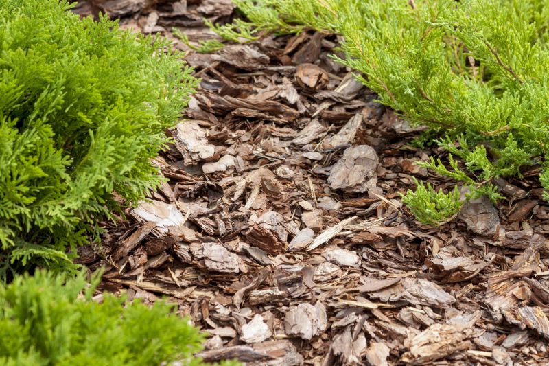 Cypress Mulch Installation in Ventura County, CA